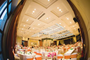 大慶藝群婚慶 以專業匠心，雕琢您的豪華婚禮夢想