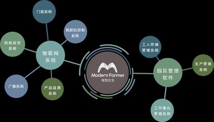 農(nóng)業(yè)4.0時(shí)代 走進(jìn)江蘇綠港的農(nóng)場“辦公室”與數(shù)據(jù)處理